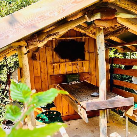 La Cabane Perchee Du Trappeur Ecrainville Екстер'єр фото