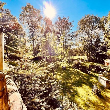 La Cabane Perchee Du Trappeur Ecrainville Екстер'єр фото